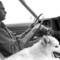 Larry driving with his dog Bo