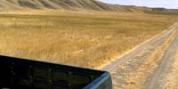 Pickup on dirt road, photo by Scott Carrier